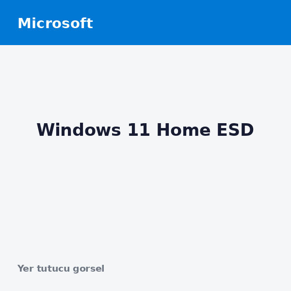 Windows 11 Home ESD