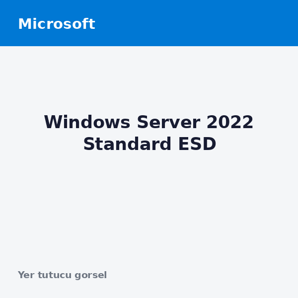 Windows Server 2022 Standard ESD