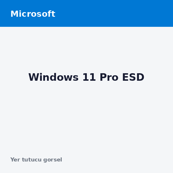 Windows 11 Pro ESD
